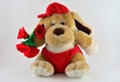 sweet stuffed dog holding a bouquet of red roses Royalty Free Stock Photo