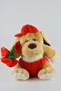 sweet stuffed dog holding a bouquet of red roses Royalty Free Stock Photo