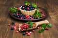 Sweet tartlet with blueberries and cranberries Royalty Free Stock Photo
