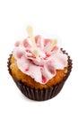 Sweet tasty homemade cupcake with strawberry cream isolated Royalty Free Stock Photo
