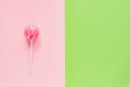 Sweet tasty pink lollipop on green and pink background. Minimal flat lay with copy space Royalty Free Stock Photo