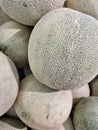 Sweet textures melon green fresh white mesh shadow Royalty Free Stock Photo