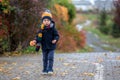 Sweet toddler blond child, cute boy, playing in autumn park with colofrul trees and bushes Royalty Free Stock Photo