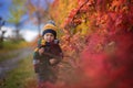 Sweet toddler blond child, cute boy, playing in autumn park with colofrul trees and bushes Royalty Free Stock Photo