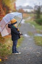 Sweet toddler blond child, cute boy, playing in autumn park with colofrul trees and bushes Royalty Free Stock Photo