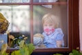 Sweet toddler boy, wearing medical mask, hugging teddy bear, also with mask, looking sadly out of the window, during coronavirus Royalty Free Stock Photo