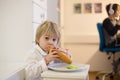 Sweet toddler child, boy, eating hot dog at home Royalty Free Stock Photo