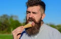 Sweet tooth concept. Bearded man with ice cream cone. Man with long beard licks ice cream. Man with beard and mustache Royalty Free Stock Photo