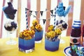 Sweet treat on the table. Cake-pop, drinks for the baby. Pirate party on a summer day