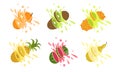 Sweet Tropical Fruits and Splashes Set, Orange, Kiwi, Kiwano Melon, Pineapple, Watermelon, Pear Vector Illustration