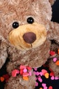 Sweet valentine bear