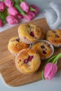 Sweet vanilla raspberry muffins Royalty Free Stock Photo