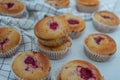 Sweet vanilla raspberry muffins Royalty Free Stock Photo