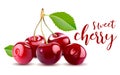 Sweet Vector 3D Realistic Cherry, isolated on white background. Royalty Free Stock Photo