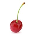 Sweet Vector 3D Realistic Cherry, isolated on white background. Royalty Free Stock Photo