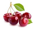 Sweet Vector 3D Realistic Cherry, on white background. Royalty Free Stock Photo