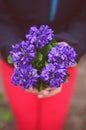 Sweet violets bouquet- vertical Royalty Free Stock Photo