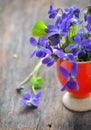 Violet flowers of spring on weeden table