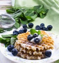 Sweet Waffles with blueberry Royalty Free Stock Photo