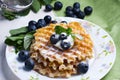 Sweet Waffles with blueberry Royalty Free Stock Photo