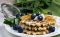 Sweet Waffles with blueberry Royalty Free Stock Photo