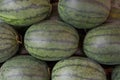 Sweet water melon, some cut half. watermelon at market. Fresh organic watermelons on a marketplace. Royalty Free Stock Photo