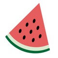 Sweet watermelon icon isolated on white, vector illustration