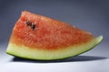 Sweet Watermelon on light background