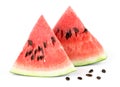 Sweet watermelon slices