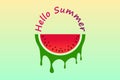 Sweet watermelons and lettering hello summer illustration background