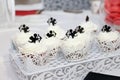 Sweet white cupcakes with small cupids are on table during celeb