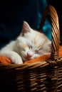 Sweet white kitten resting comfortably in a wicker basket, AI-generated.