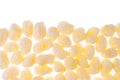 Sweet yellow corn sticks background as decorative border with copy space, isolated, top view. Royalty Free Stock Photo