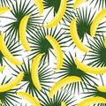 sweet yellow pastel banana on green palm leaves background livistona rotundifolia palm tree natural exotic tropical fruit hawaii