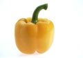 Sweet Yellow Pepper, capsicum annuum against White Background Royalty Free Stock Photo