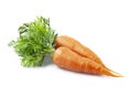 Sweet young carrots vegetables