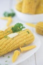 Sweetcorn on the cob