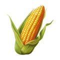 Sweetcorn on the cob, fresh from the farm