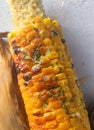 Sweetcorn Griddled Barbecued with Flavoured Butters and herbs Royalty Free Stock Photo