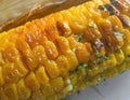 Sweetcorn Griddled Barbecued with Flavoured Butters and herbs Royalty Free Stock Photo