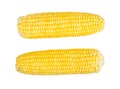 Sweetcorns isolate on white with clipping path Royalty Free Stock Photo