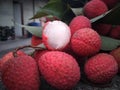 Sweetest litchi in the world at Nagaland India Pinkish red organic litchi ready to eat