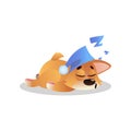 Sweetly sleeping corgi in cute blue hat with pompom. Cartoon puppy character. Human s best friend. Domestic animal. Flat