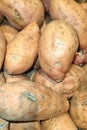 sweetpotato