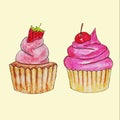 sweets, cake sweet cupcakes, fruit chocolate cherry vanilla strawberry with delicious shortbread