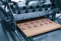 Sweets factory. Sweets production process. Conveyor belt with sweets on it