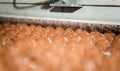 Sweets factory. Sweets production process. Conveyor belt with sweets on it