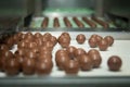 Sweets factory. Sweets production process. Conveyor belt with sweets on it