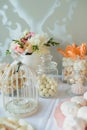Sweets, nuts in sugar, marshmallows, meringue - candy bar at the wedding