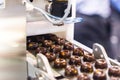 sweets production and industry concept - chocolate candies processing on conveyor at confectionery shop